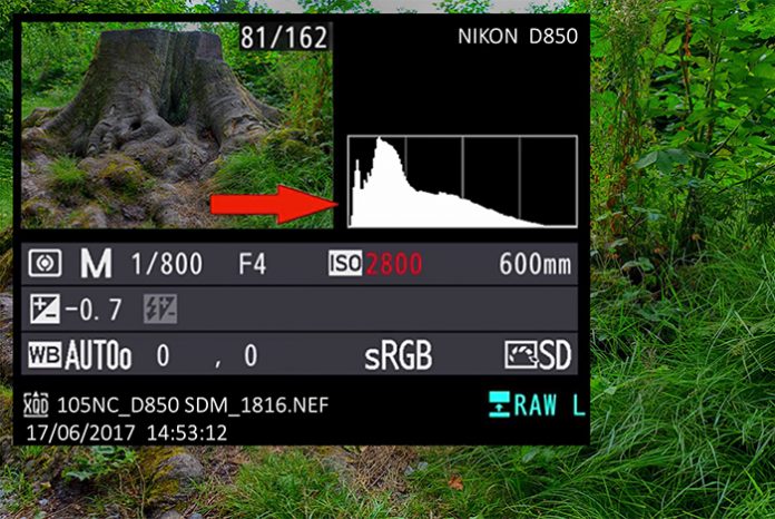 Histogram nedir? Histogram nedir?