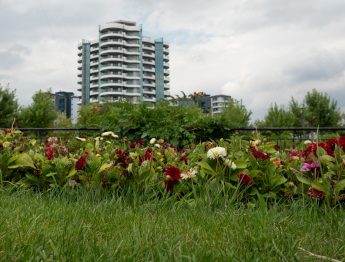 Odak istifleme (Focus Stacking) ve Odak Kaydırma Tekniği Odak istifleme (Focus Stacking) ve Odak Kaydırma Tekniği