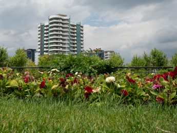 Odak istifleme (Focus Stacking) ve Odak Kaydırma Tekniği Odak istifleme (Focus Stacking) ve Odak Kaydırma Tekniği