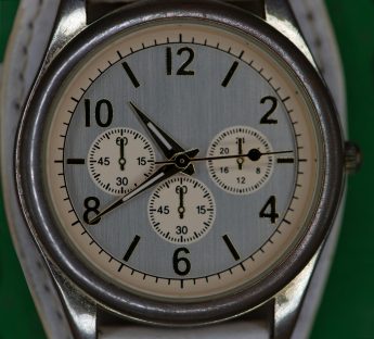 Makro Çekim Fotoğrafçılığı, Olympus ile Odak İstifleme ve Basamaklama