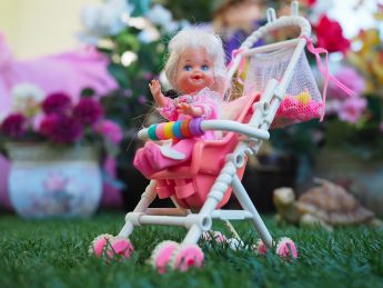 Makro Çekim Fotoğrafçılığı, Olympus ile Odak İstifleme ve Basamaklama