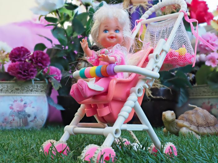 Makro Çekim Fotoğrafçılığı, Olympus ile Odak İstifleme ve Basamaklama