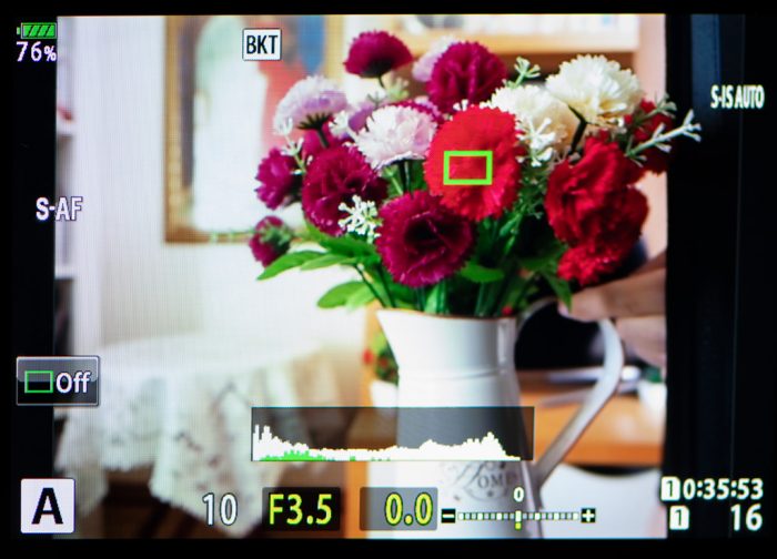 Makro Çekim Fotoğrafçılığı, Olympus ile Odak İstifleme ve Basamaklama