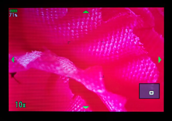 Makro Çekim Fotoğrafçılığı, Olympus ile Odak İstifleme ve Basamaklama