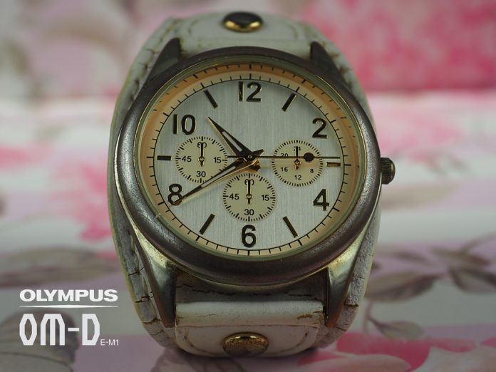 Makro Çekim Fotoğrafçılığı, Olympus ile Odak İstifleme ve Basamaklama