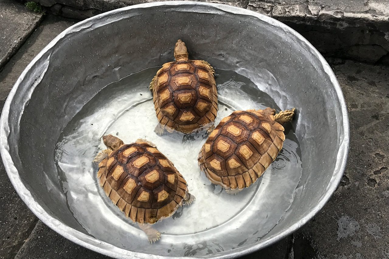 Fotoğrafta Ritim ve Fotoğraf Okuma Alışkanlığı