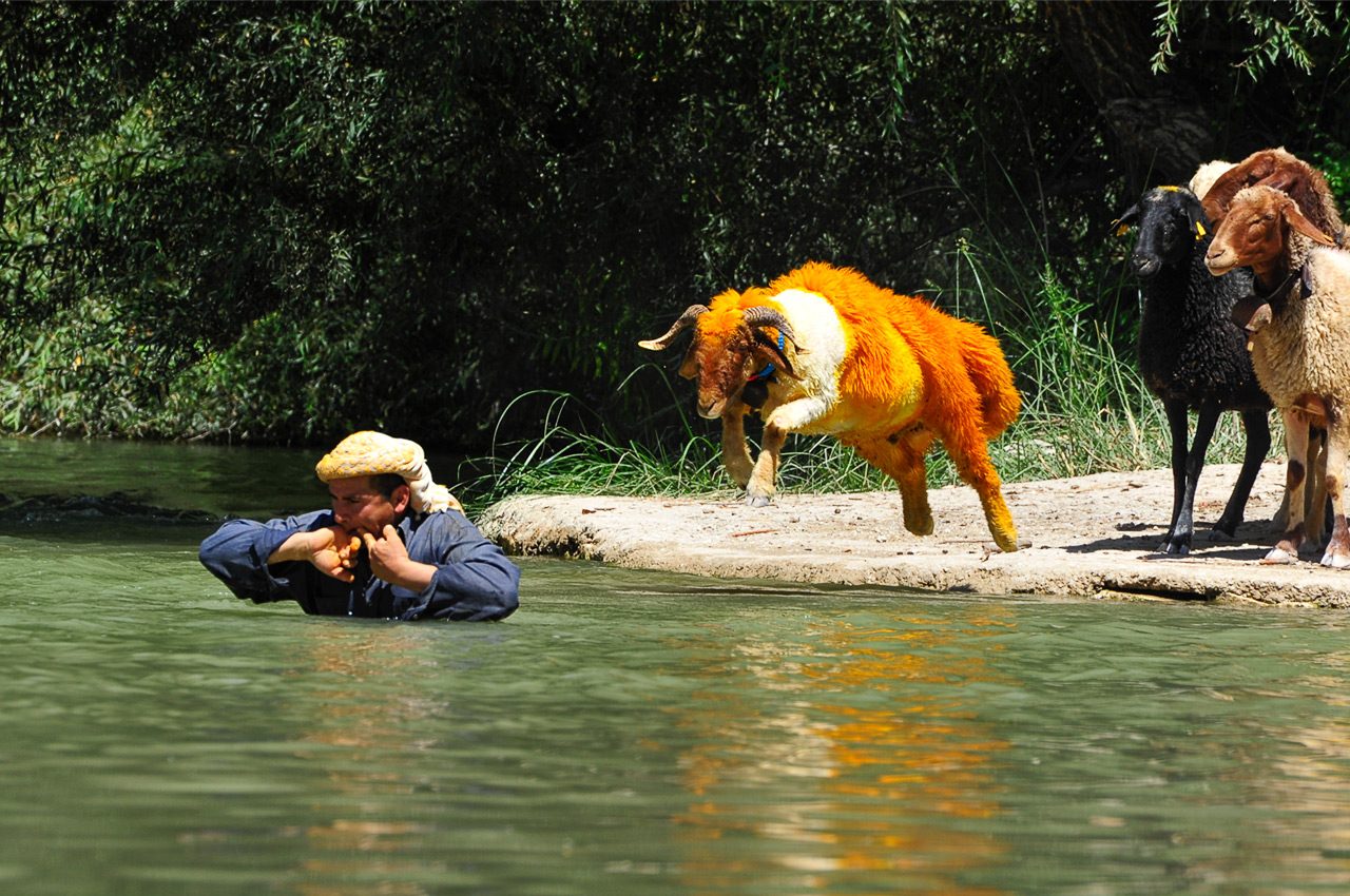 Koyun Atlatma Festivali