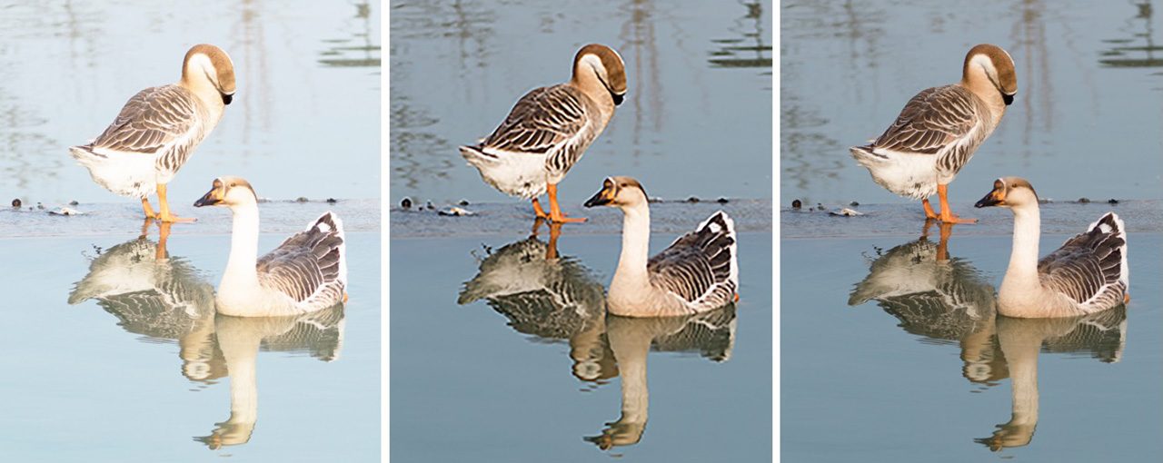 MTF Grafikleri Nasıl Okunur