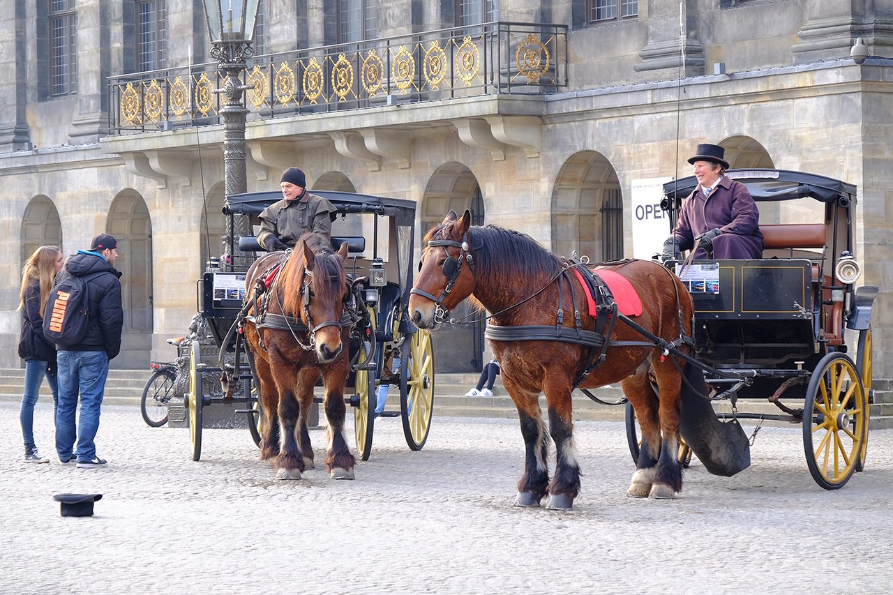 Sokak Fotoğrafçılığı için ideal kamera modeli var mı?