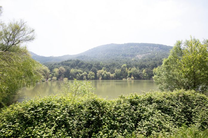 Hangi ND Filtre? Bu Lensinize ve Kameranıza bağlı desem?