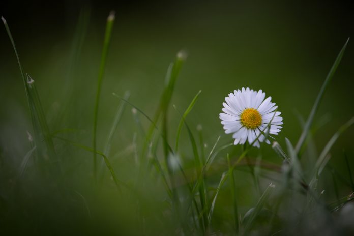 Fotoğraf Çekmekten Neden Vazgeçiyoruz?
