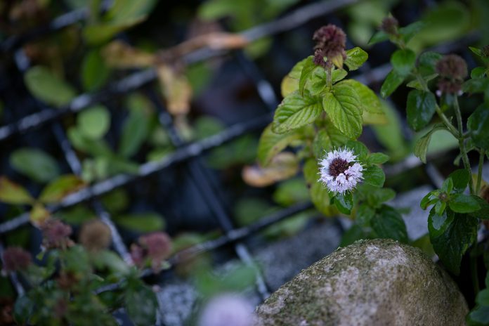 Fotoğraf Çekmekten Neden Vazgeçiyoruz?