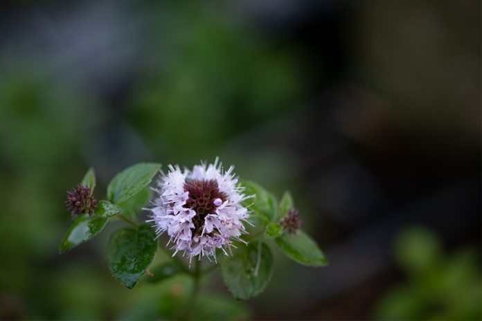 Fotoğraf Çekmekten Neden Vazgeçiyoruz?
