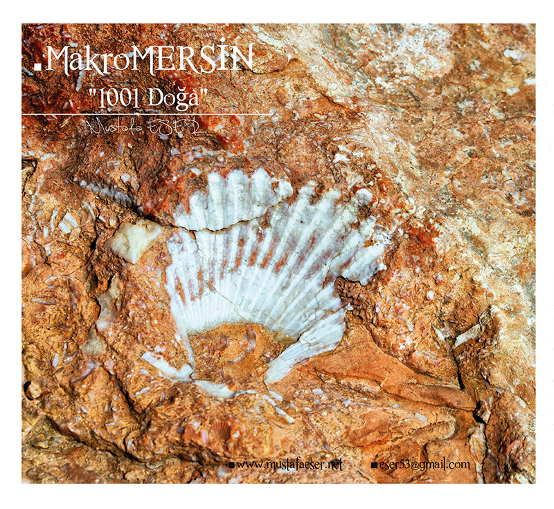 Gönüllü Emek / Amatör Foto-Graf - Mustafa Eser