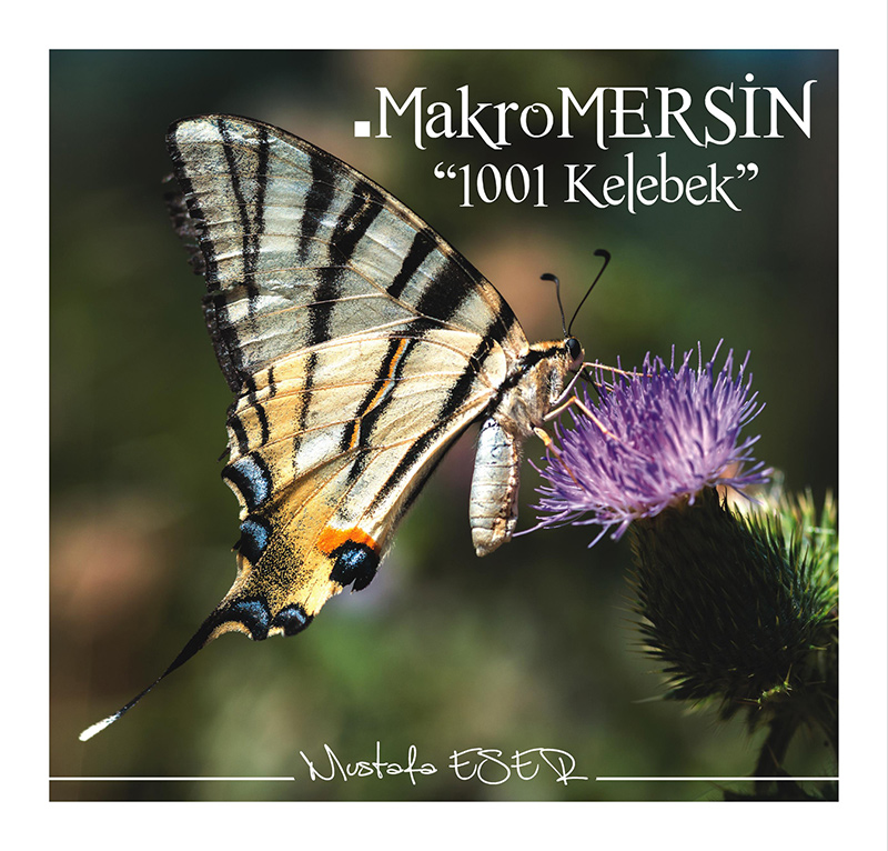 Gönüllü Emek / Amatör Foto-Graf - Mustafa Eser