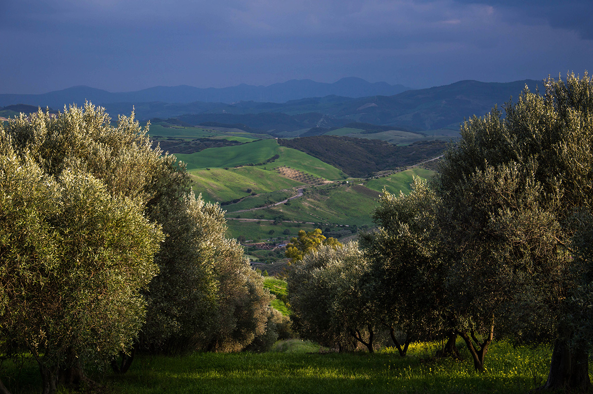 Eyvah! Şirketim büyüyor. Artık fotoğraftan da eskisi gibi zevk alamıyorum…