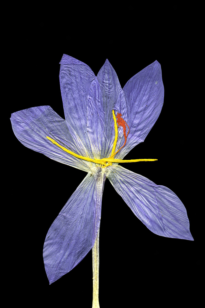 Gönüllü Emek / Amatör Foto-Graf - Süha Aray