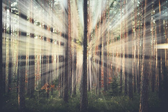 Photoshop'da ışık demeti oluşturmak - Light-ray Creation