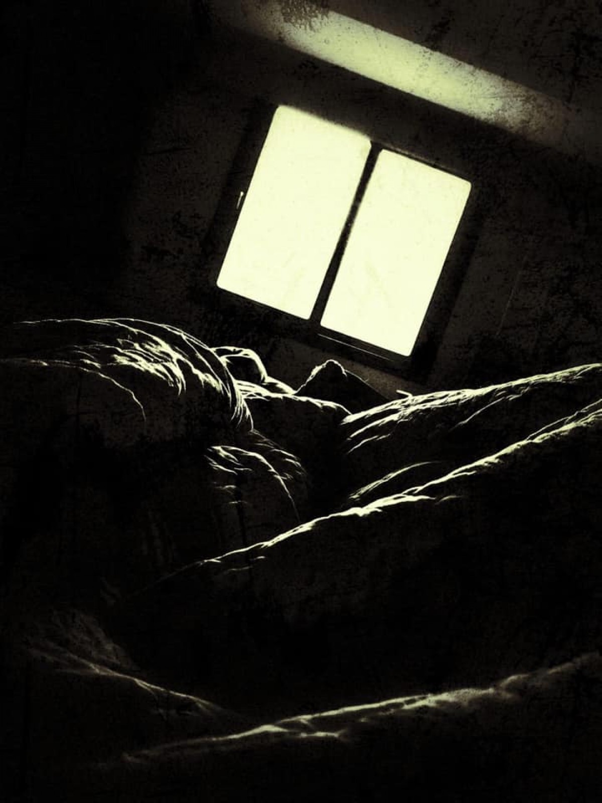 Foto-Graf düzleminde geçen bir "Ortak Atölye" deneyimi