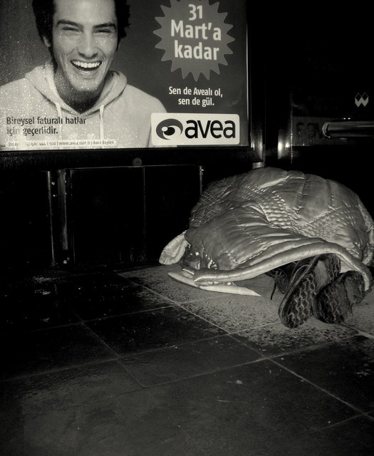 Öteki Sokağın Çocukları