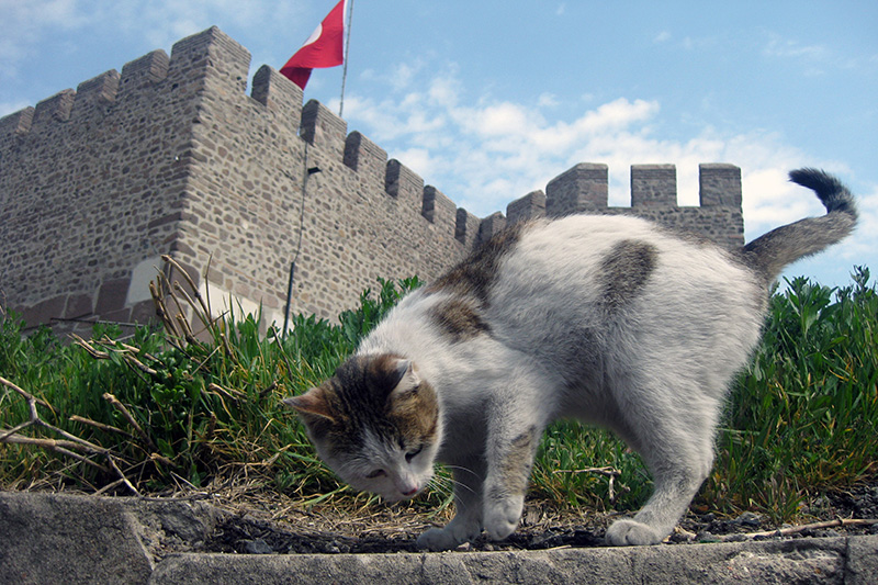 Fotograf Ortamında Yeni ve Farklı Bir Dernek