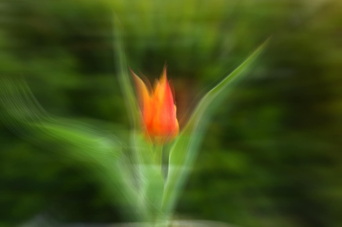 Fotograf için deli divane olan bir insan: İsmail H. Haykır