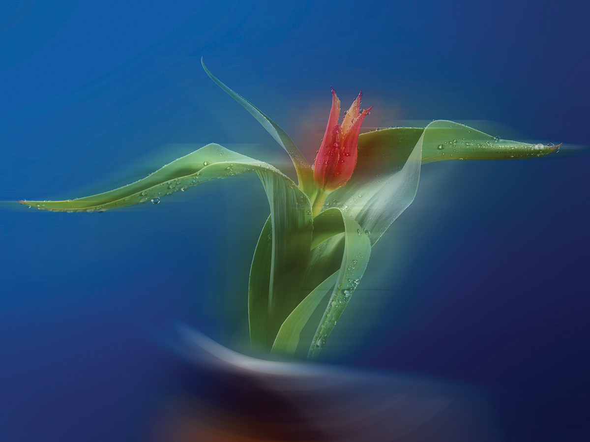 Fotograf için deli divane olan bir insan: İsmail H. Haykır