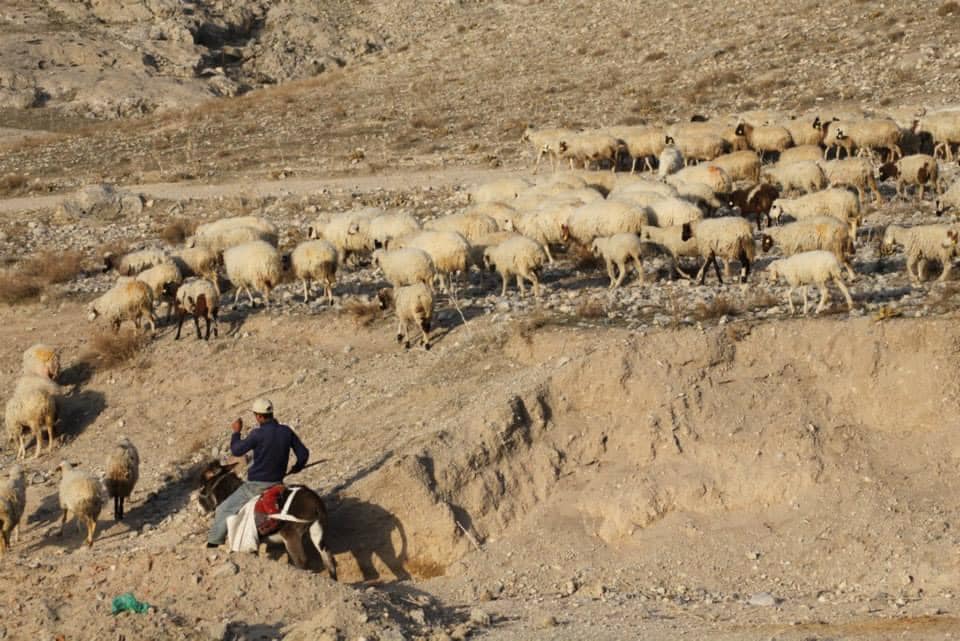 Zeki Oğuz’la ‘Konya Bozkır’larında Bir Gezgin: Yol Hikâyeleri’ üzerine söyleşi