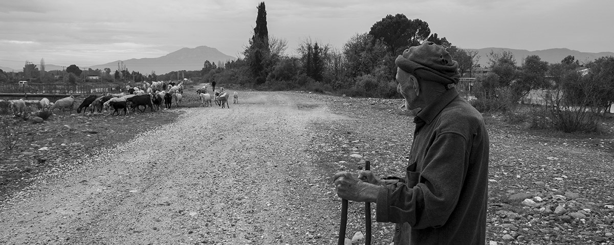 Fotoğrafın hikayesi; Cemal Amca ve Keçileri