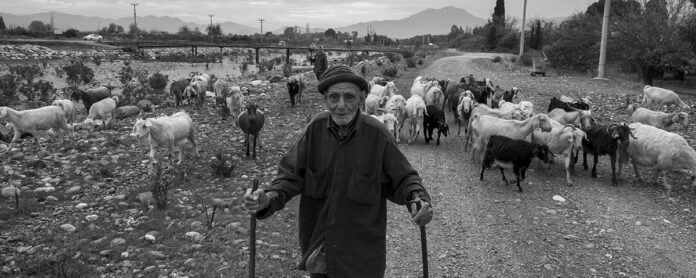 Fotoğrafın hikayesi; Cemal Amca ve Keçileri