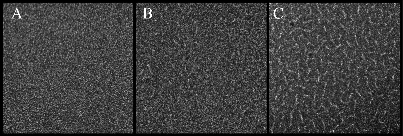 Film geliştirmede (banyo etmek) önemli iki problem: Sis/Buğulanma (fog) ve Ağ Dokusu (reticulation)