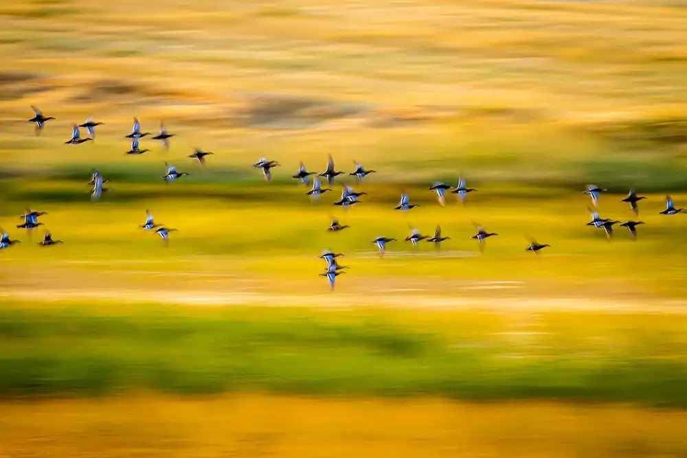 Serkan Mutan'ın fotograflarındaki büyülü atmosfer