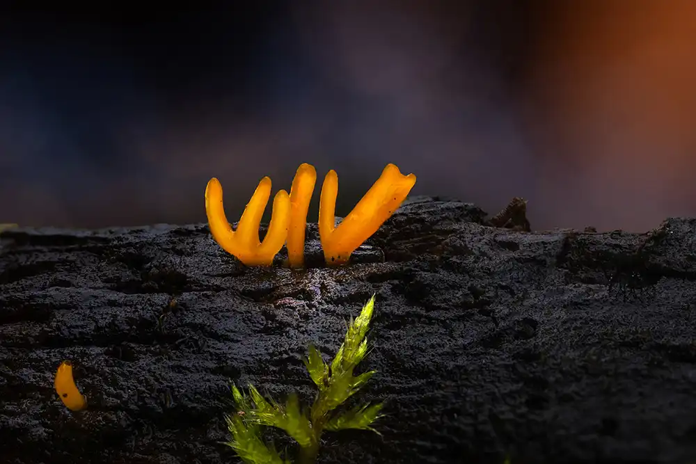 Serkan Mutan'ın fotograflarındaki büyülü atmosfer