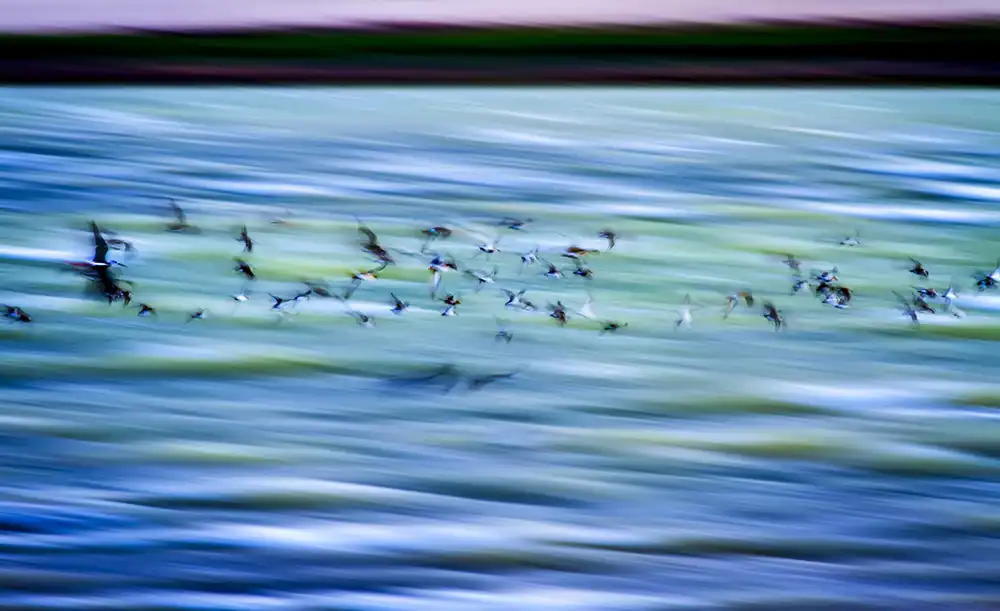 Serkan Mutan'ın fotograflarındaki büyülü atmosfer