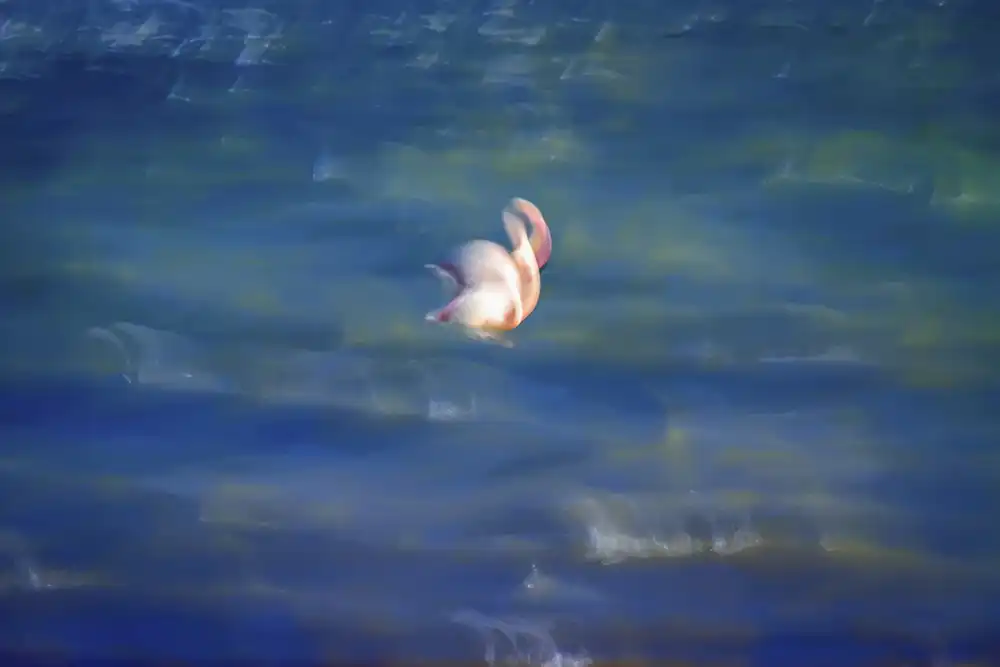 Serkan Mutan'ın fotograflarındaki büyülü atmosfer