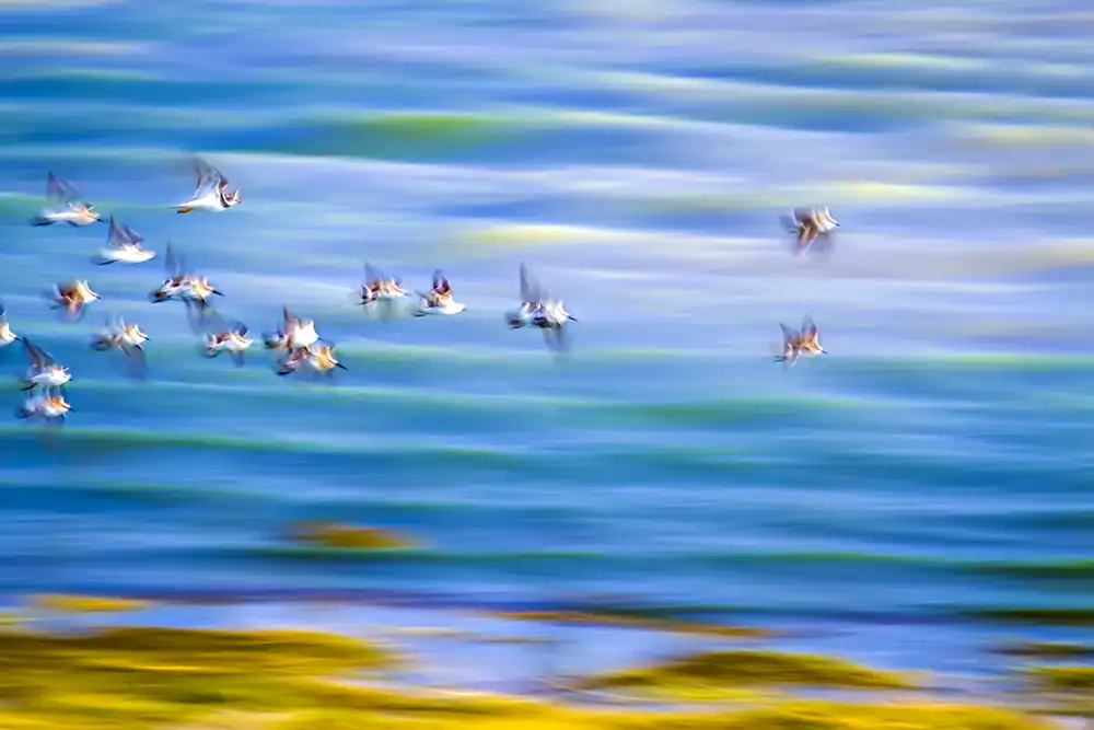 Serkan Mutan'ın fotograflarındaki büyülü atmosfer