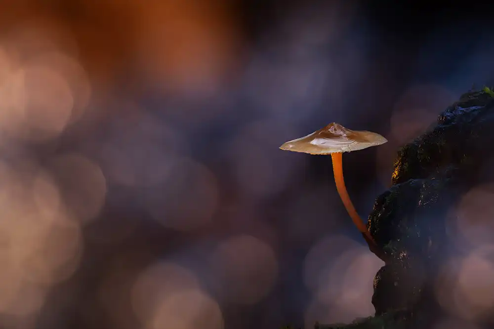 Serkan Mutan'ın fotograflarındaki büyülü atmosfer