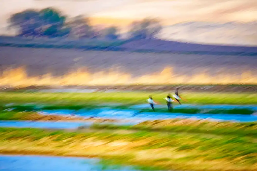 Serkan Mutan'ın fotograflarındaki büyülü atmosfer