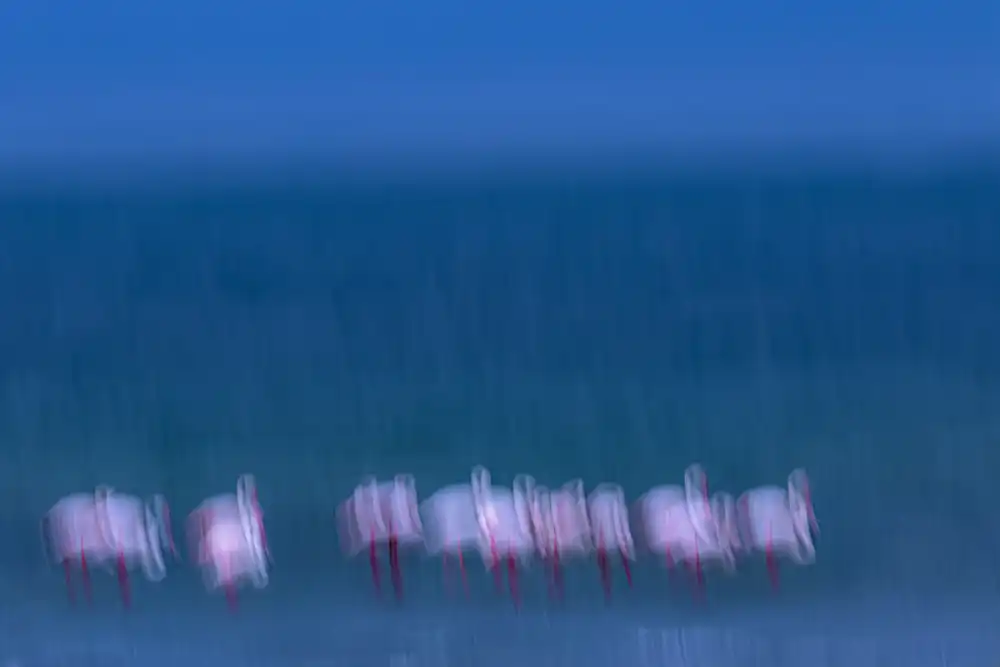 Serkan Mutan'ın fotograflarındaki büyülü atmosfer