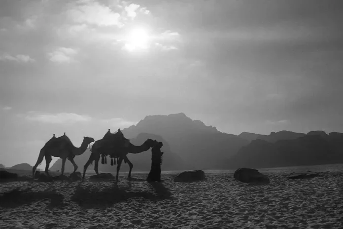 Damağımda Analog Fotoğrafın tadı var... Damağımda Analog Fotoğrafın tadı var...