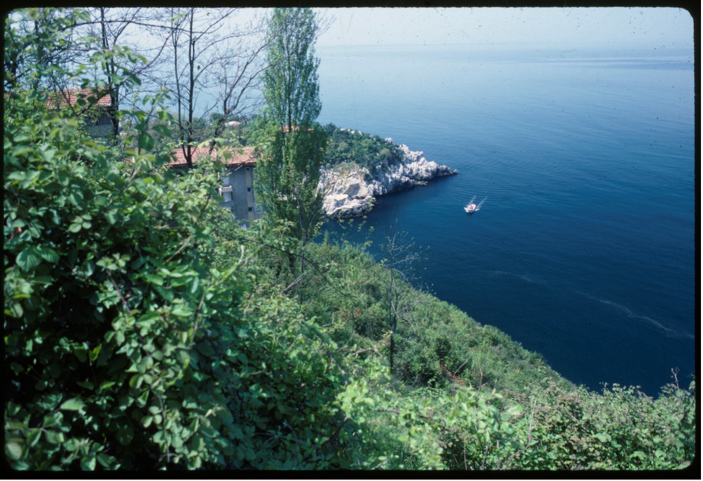 KODACHROME, Bir filmin hikayesi ve BEN RYDER